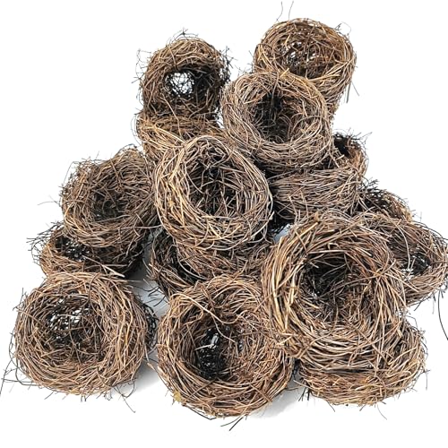 GXXMEI 20PCS 3'' Mini Artificial Bird Nest for Crafts, Easter, Party, Wedding, Patio Garden, Succulent Planter, DIY Terrarium