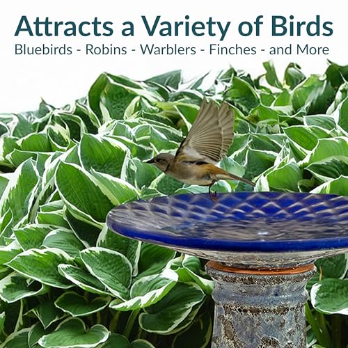 Sunnydaze Outdoor Ceramic Bird Bath, 22.5” H, Glazed Bowl, Blue Lava Finish | 2-Piece Birdbath, 6 Cup Water Capacity, UV & Frost-Resistant, Easy Assembly, Shallow Bird Bath Bowl with Pedestal for Garden - style: Blue Glazed with Lava Distressed Pedestal