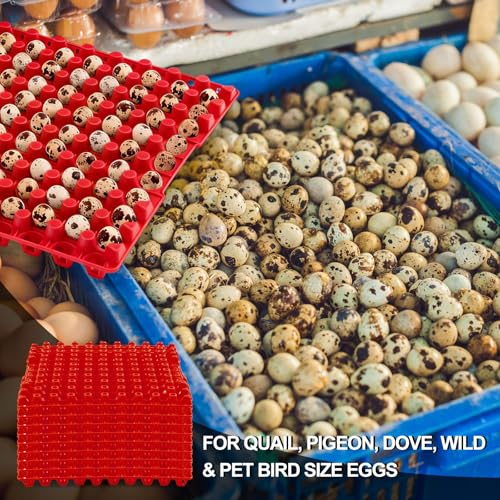 Teenyyou 10 Pcs 90 Egg Plastic Trays Quail Egg Flats Holder for Quail Pigeon Dove Bird Flat Carton (Red) - color: Red