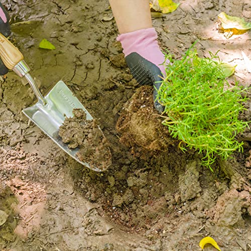 Berry&Bird Stainless Steel Trowel, Garden Small Flower Hand Shovel, Potting Soils Scoop with Wood Handle, Gardening Bonsai Tools for Transplanting Digging Weeding Planting | Stainless steel blade ergonomic wood grip & hanging loop. trowel for digging, wee