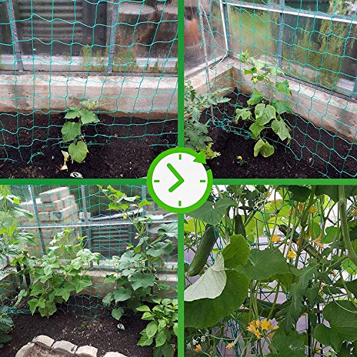 Trellis Netting for Climbing Plants - Heavy Duty Garden Trellis Netting for Cucumber, Vine, Fruits & Vegetables Tomato Plants Trellis Net, Climbing Vining Plants (1-Pack 8.2' x 6.6'Ft) - size: 8.2' x 6.6'Ft