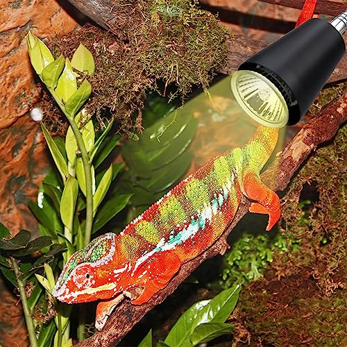 Reptile Heat Lamp Bulbs 110V, 2-Pack UVA/UVB Light for Turtles, 360° Rotatable Heating Lamp for Aquarium Terrarium, Aquatic Plants, Lizards and Snakes - color: Light Stand With Dimmer