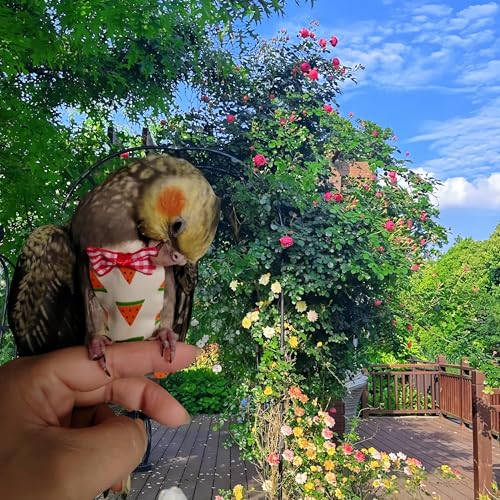 6Pcs Bird Diapers Bird Harness Flight Suits Diapers Reusable Parrot Nappy with Waterproof Inner Layer Washable Cute Urine Wet Suit Costume for Cockatiel Conure Budgie Macaw Parakeet,L - size: L