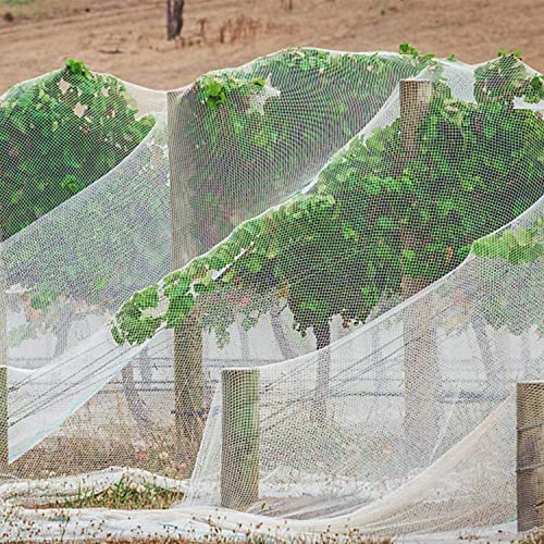 PURPLE STAR 1N 6 x 7 Feet Insect Bird Barrier Netting Mesh with Drawstring, Garden Bug Netting Plant Cover for Protect Plant Fruits Flower from Insect Bird Eating - color: 6x7 Ft