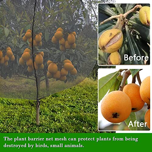 FONUNO Fruit Tree Netting with Zipper Birds Netting for Fruit Trees, Black | Netting Covers with Zipper to Protect from Squirrels and Birds Large Netting for Fruit Trees Protection, 71" x 75", 1 Pack - color: Black, size: 71 x 75 inch - 1 Pack