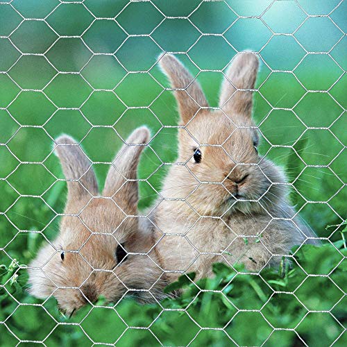 20GA Galvanized 36in x 50ft x 1in Mesh Chicken Wire Hexagonal Poultry Netting - size: 36"x50'