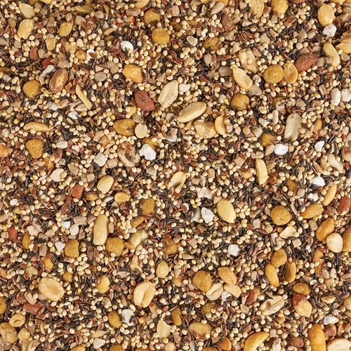 Kaytee Wild Bird Food, Summer Nesting Seed Blend, 8 lb - style: Summer Nesting