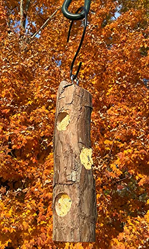 Cedar Suet Log Feeder by Prime Retreat