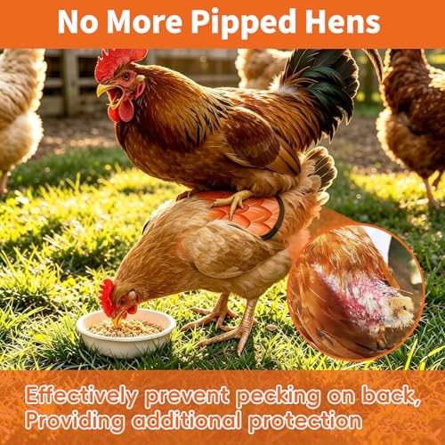 Chicken Saddle for Hens, Chicken Apron Hen Saddle with Adjustable Straps, Waterproof Poultry Feather Cover Vest for Small Medium Hens