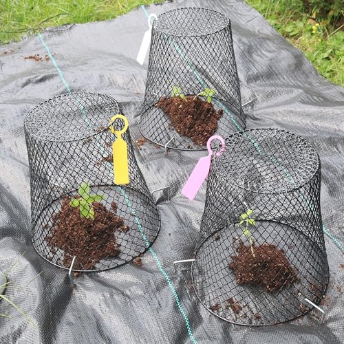 10 Pack 9.2 x 9.2 Inch Chicken Wire Cloche Plant Protectors from Animals | Plant Cages for Outdoor Plants Keep Rabbits Squirrels Birds Deer Out, Sturdy Garden Cloche for Vegetables Flowers Seedlings - size: 10PCS-9.2"x9.2"
