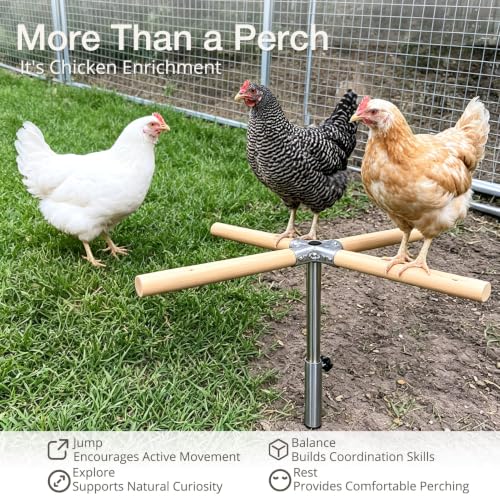 Chicken Perch Toys for Coop, Perches Adjust Height 6-17" for Young Chickens | Portable Wooden Roosting Bar for Bantams, Silkies &Small Backyard Flock, Height Adjustable Outdoor Chicken Playground Stand - size: H=23.6inch