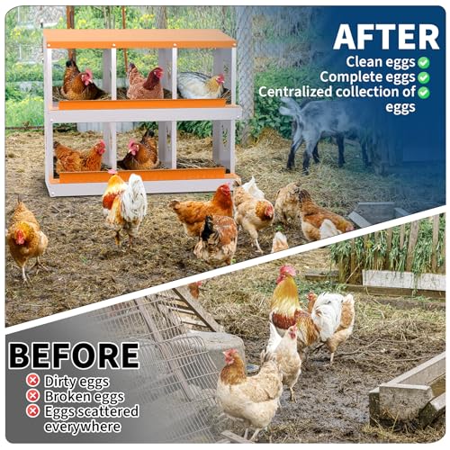 6 Compartment Galvanized Metal Chicken Nesting Box, Easy Install & Clean Roll Out Egg Laying Boxes for Backyard Chicken Coop, Anti-Rust Egg Protection Nest,Orange - color: Orange, size: 6 holes