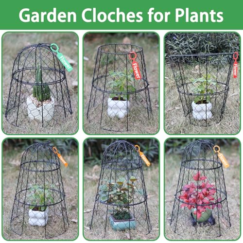 6 PCS 17.7"H X11.42"D Chicken Wire Plant Covers Protectors, Rustproof Heavy Duty Metal Plant Cage with Stakes & Labels, Modular Garden Cloches Design for Seedling Flower Vegetable Protect from Animals