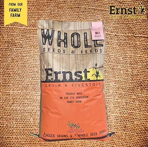 Ernst Grain & Livestock Shelled Corn, Non-GMO, 46 lb – Perfect Feed for Deer, Squirrels, Chickens, Ducks, Rabbits, Geese, and More!