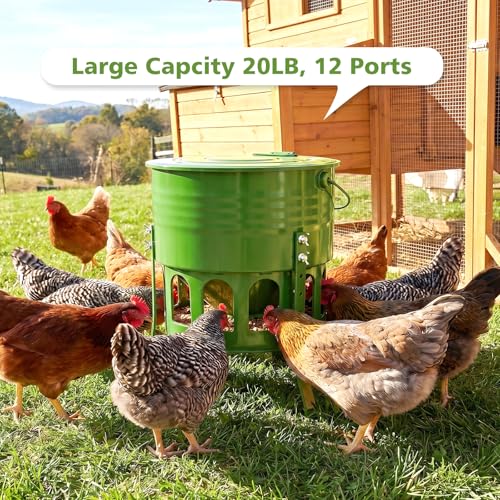 Tgeyd Metal Bucket Chicken Feeder, 20LB Large Capacity Poultry Feeder with 12 Feeding Ports & Dual-Cone No-Waste Design, Adjustable Height & Foldable for Storage, Rust-Proof for Chickens, Ducks, Quail | Organometallic coating