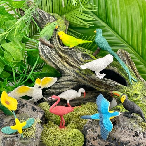 Safari Ltd. Exotic Birds TOOB - 10 Figurines: Parakeet, Quetzal, Macaw, Hummingbird, Toucan, Cockatoo, Flamingo, Snowy Owl, Parrot - Educational Toy Figures For Boys, Girls & Kids Ages 3+