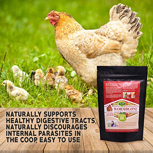Premium Chicken Nesting Herbs (4 lb) - Naturally Keep A Clean Coop Your Hens Will Love – Backyard Chicken Supplies WormBGone - size: 4 Pound (Pack of 1)