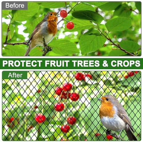 DQS Garden Bird Netting 25' x 50', 2.4" Mesh Poultry Net for Chicken Run | Hawk Deer Fence Netting for Fruit Tree, Plant and Vegetable, Heavy Duty Nylon Aviary Net for Garden, Farm, Orchard - size: 2.4", 25' x50'