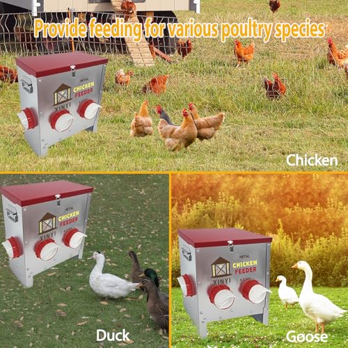 25lbs Metal Chicken Feeder, 4 Ports Galvanized Feeder, Goat Proof Auto Chicken Feeder, Weatherproof Chicken Food Dispenser System for Outdoor Coop,4.1 Gallon - size: 4 ports