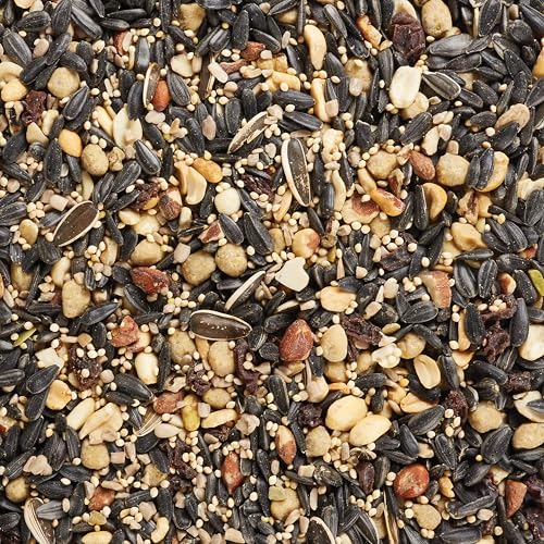 Kaytee Wild Bird Food, Fall Migration Seed Blend, 8 lb - style: Fall Migration