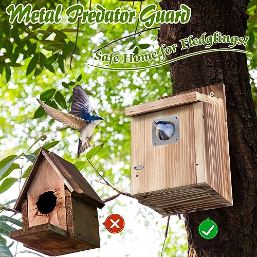 Dreyoo 1 Pack Cedar Bluebird Box Houses for Outside, 1-1/2” Entrance Hole Wooden Bird Houses with Metal Predator Guard, Secure Latch, Fledgling Grooves, Air Vents for Bluebird Wren Swallow Finch