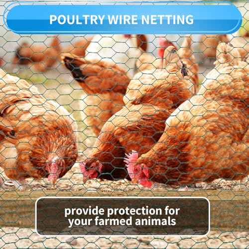 48'' x 150' Green Chicken Wire Fencing, 1 inch Chicken Wire and 19 Gauge Poultry Netting, Garden Mesh Fence Roll for Floral Arrangements/Crafts/Farm/Livestock/Pet Protection - size: Green /19 Gauge 48" x150'