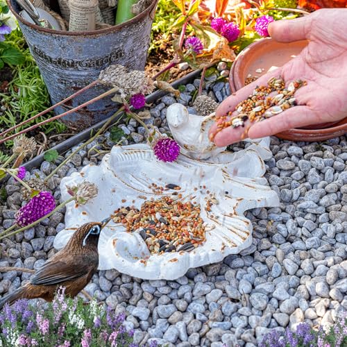 Sungmor Cast Iron Bird Feeder Dish, Rustic White Small Bird Feeding Tray | Decorative Leaf-Shaped Outdoor Bath Bowl Food Container for Garden, Patio or Yard - color: Rustic White
