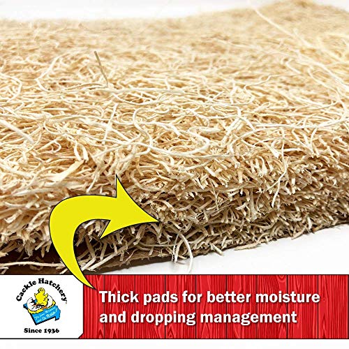 Laying Hen Nest Box Pads Made in USA from Sustainable Aspen Exceslior - 13x13 Nesting Box Liners (6-Pack) - size: 6-Pack