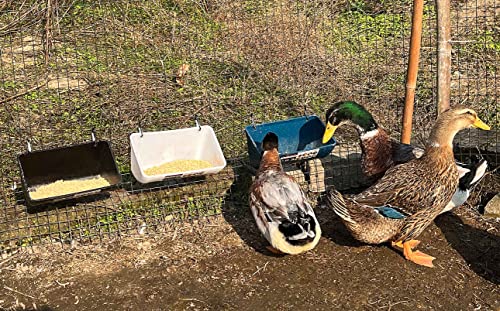 Chicken Feeder Waterer, Goat Feeder - 2 Pack, 5.5 Quart, for Goats Chickens Duck Sheeple Dogs Piglets Deers Gooses, Turkeys, Goat Supplies(Appearance Patent Product) - color: Dark green