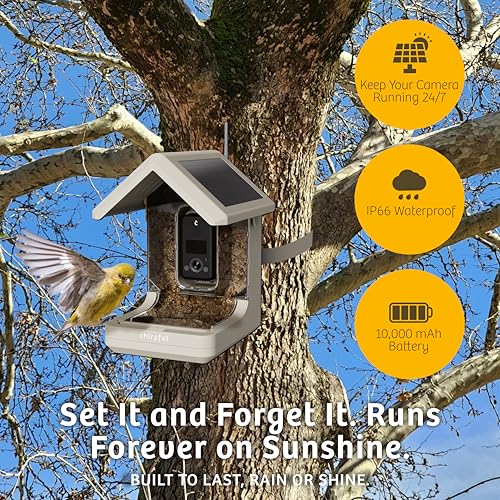 Birds Choice Smart Bird Feeder with Camera | Solar Powered Bird Watching for Outdoors | AI to Identify Bird Species, Capable of Real-Time Streaming | Wireless with Camera, Waterproof Construction | AI Species Recognition Motion-Activated Ultra HD Video an