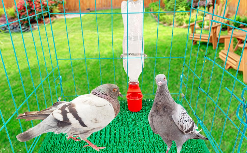10 Pcs Bird Drinker Feeder Plastic Soda Pop Water Bottle Cup Pigeon Water Bottle Feeder for Cage for Chicken Pigeons Birds (Plastics, 10pcs)
