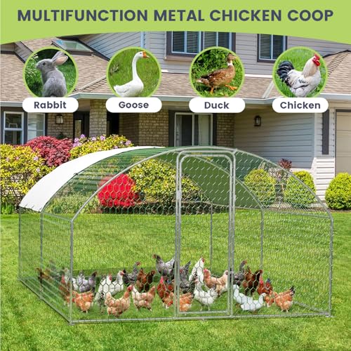 Large Chicken Coop for Yard, Large Metal Chicken Run, Walk-in Poultry Cage with Waterproof and Anti-Uv Cover for Outdoor Backyard Farm, Doom Roof, 9.8×13.1×6.6ft - size: 9.8×13.1×6.6FT