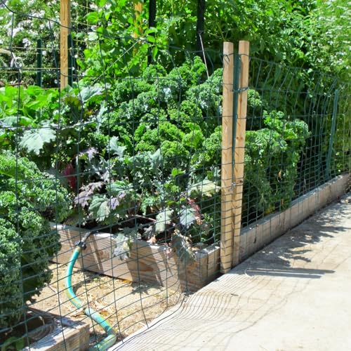 Fencer Wire Green Vinyl Coated 16 Gauge Rabbit Guard Fence, Poultry Outdoor Fencing Barrier Wire Roll for Garden Yard, Protecting Against Rabbits, and Other Small Animals Damage (40 in. x 50 ft.) - size: 40 in. x 50 ft., style: Green Vinyl Coated