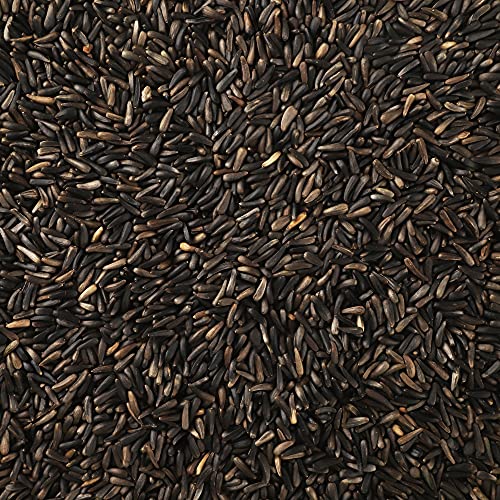 Happy Wings 26Oz Thistle Seed (Nyjer) Bird Food Prefilled Sock, No Grow | Oil Rich, High Fat & Energy Content, Single Grain, USDA & BRC-GS Approved, Finches, Sparrows, Chickadees, Cardinals, No Mess - size: 13 Ounce (Pack of 2)
