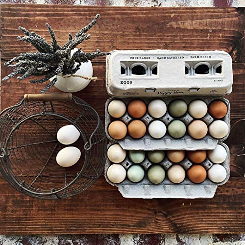 Egg Cartons- Adorable Printed Design for Farm Fresh Eggs, Recycled Paper Cardboard, Sturdy & Reusable, Holds up to XL Chicken Eggs (Blank Stamping, 25) - color: Blank Stamping, size: 25