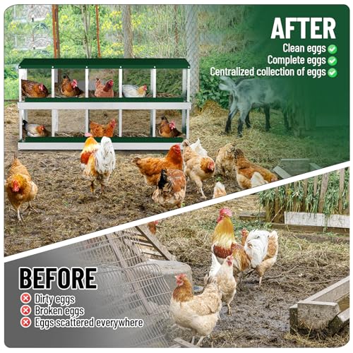 Garvee 10-Compartment Metal Chicken Nesting Box, Rustproof Galvanized Steel with Ventilated Holes, Removable Trays & Sturdy Bracket Legs, Easy Egg Collection - Green - color: Green, size: 10 Compartments