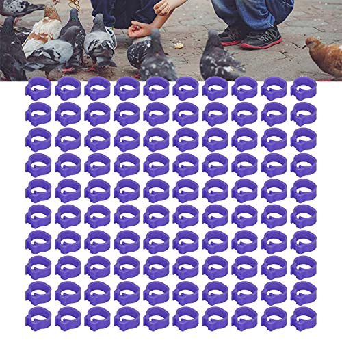 Omabeta 100PCS Reusable 8mm Pigeons Identification Leg Rings for Easy Dovecot Management and Marking, Lightweight Plastic Bands for Poultry Supplies (Purple) - color: Purple