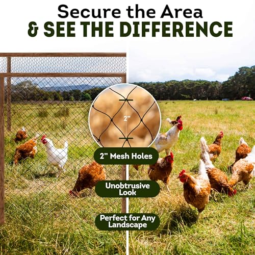 Heavy Duty Bird Netting for Chicken Coops & Runs | Keep Hawks, Birds & Predators Away | Hawk Netting 1.5 mm Thickness - Mesh 2"x2" | Aviary Net 50 x 100 ft (25 x 100 ft) - size: 25 x 100 ft