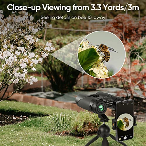 Timorn Binoculars for Adults Bird Watching 8x42 HD with Phone Adapter | 430ft Wide Field of View, FMC Lens for Clear & Sharp Images, Waterproof Lightweight Design for Wildlife, Hiking, Travel