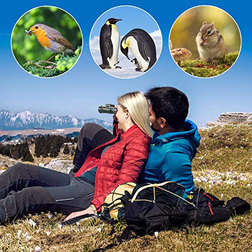 40x60 HD High Power Adult Monocular with Tripod and Smartphone Adapter - Ideal for Birdwatching, Hiking, Traveling Concerts - BAK4 Prism, Clear Colors, Durable and Portable - color: Military Green
