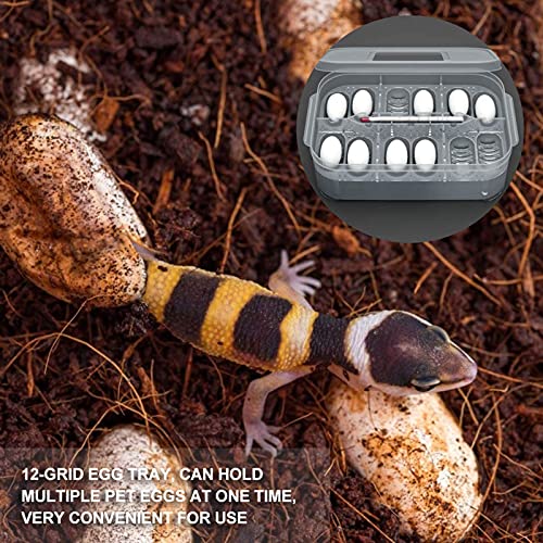 Still Awake Reptile Egg Incubator Professional Hatcher Hatching Box Case Tray Plastic Breeding Incubator for Hatching Snake,Lizards, Reptiles,Gecko(12 Slots with Thermometer)