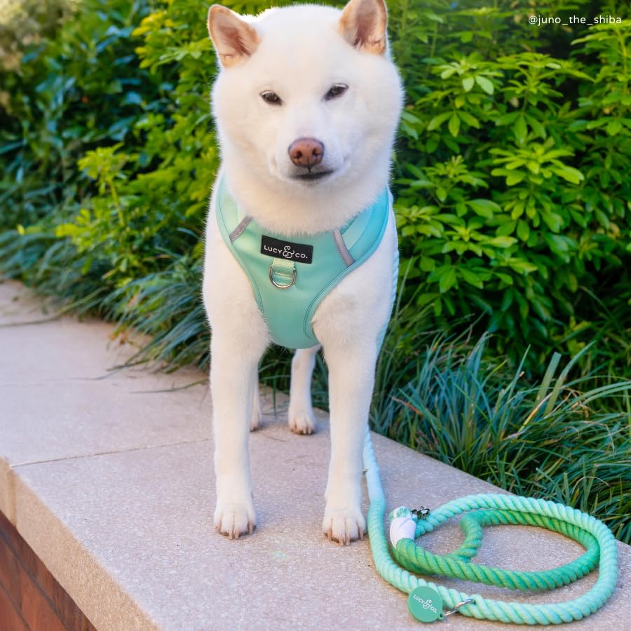 Spring Green Hands-Free Rope Leash - color: Spring Green Hands-Free Dog Leash