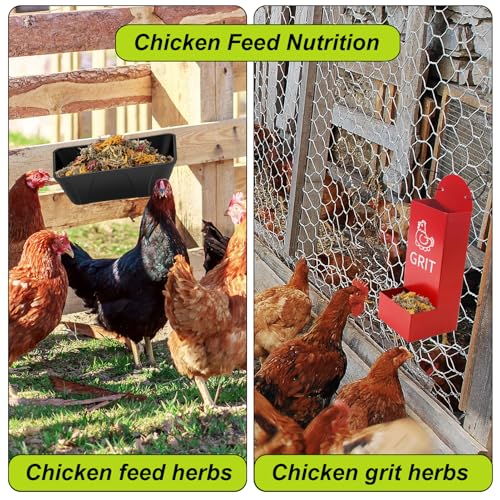 21 Oz Chicken Nesting Herbs Flowers Premixed Dried Poultry Herbs Natural Nesting Box Pads Roost House Lime Feed Grit Herbs Bedding Supplies for Chicken Duck Coop Feeder Freshness Egg Laying Coop Smell - size: 1.3 Pound