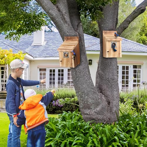 Dreyoo 1 Pack Cedar Bluebird Box Houses for Outside, 1-1/2” Entrance Hole Wooden Bird Houses with Metal Predator Guard, Secure Latch, Fledgling Grooves, Air Vents for Bluebird Wren Swallow Finch