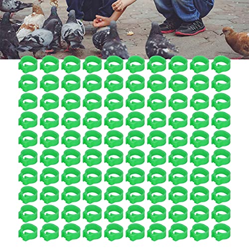 Omabeta 100PCS Reusable 8mm Pigeons Identification Leg Rings for Easy Dovecot Management and Marking, Lightweight Plastic Bands for Poultry Supplies (Green) - color: Green
