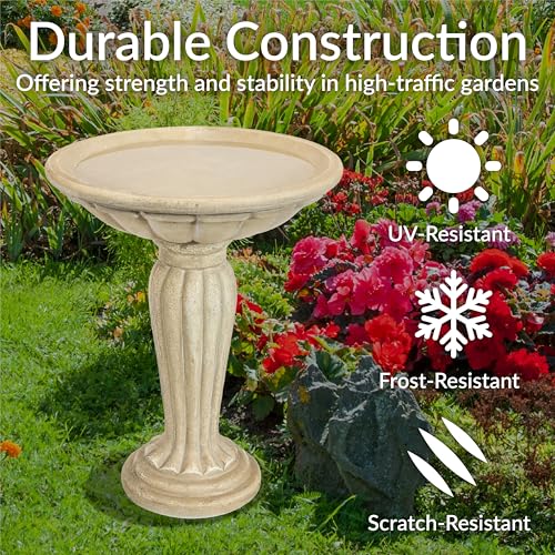 Sunnydaze Grecian Concrete Bird Bath for Outside, 20” H, Antique White | 1/2 Gal Water Capacity, Glass Fiber Reinforced Concrete, 2-Piece Stone Birdbath, Easy Assembly, Cement Bird Bath for Outdoors - color: Antique White
