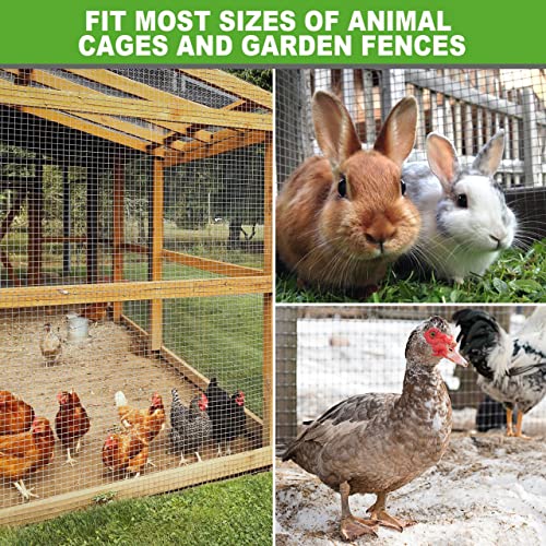 Land Guard 19 Gauge Hardware Cloth, 1/2 inch Chicken Wire Fence, Galvanized Welded Cage Wire Mesh Roll Supports Poultry Netting Cage Fence……… - size: 1/2inch 16inch×25ft
