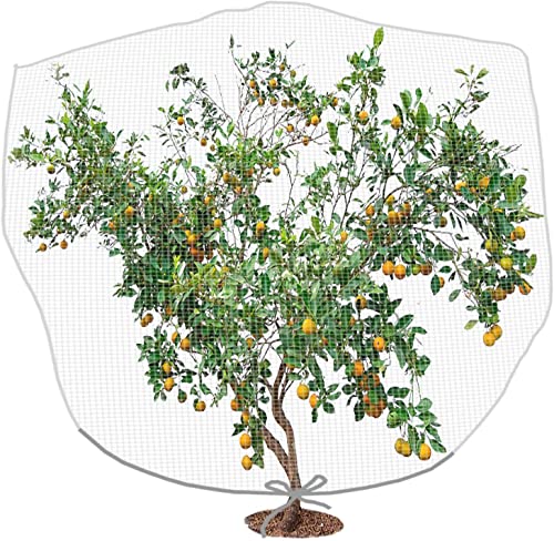 PURPLE STAR 1N 6 x 7 Feet Insect Bird Barrier Netting Mesh with Drawstring, Garden Bug Netting Plant Cover for Protect Plant Fruits Flower from Insect Bird Eating - color: 6x7 Ft