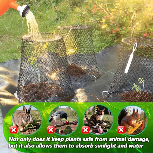 10 Pack 9.2 x 9.2 Inch Chicken Wire Cloche Plant Protectors from Animals | Plant Cages for Outdoor Plants Keep Rabbits Squirrels Birds Deer Out, Sturdy Garden Cloche for Vegetables Flowers Seedlings - size: 10PCS-9.2"x9.2"