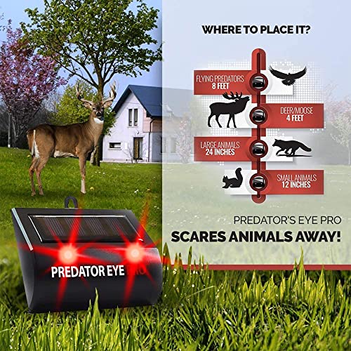 ASPECTEK Predator Eye PRO Solar Animal Repeller - 2 Pack, Red Flashing Light Deterrent for Cats, Dogs, Foxes, Birds, Skunks, Deer and Raccoons, Outdoor Pest Control for Garden, Farm, Fence and Coop - style: Predator Eye Pro